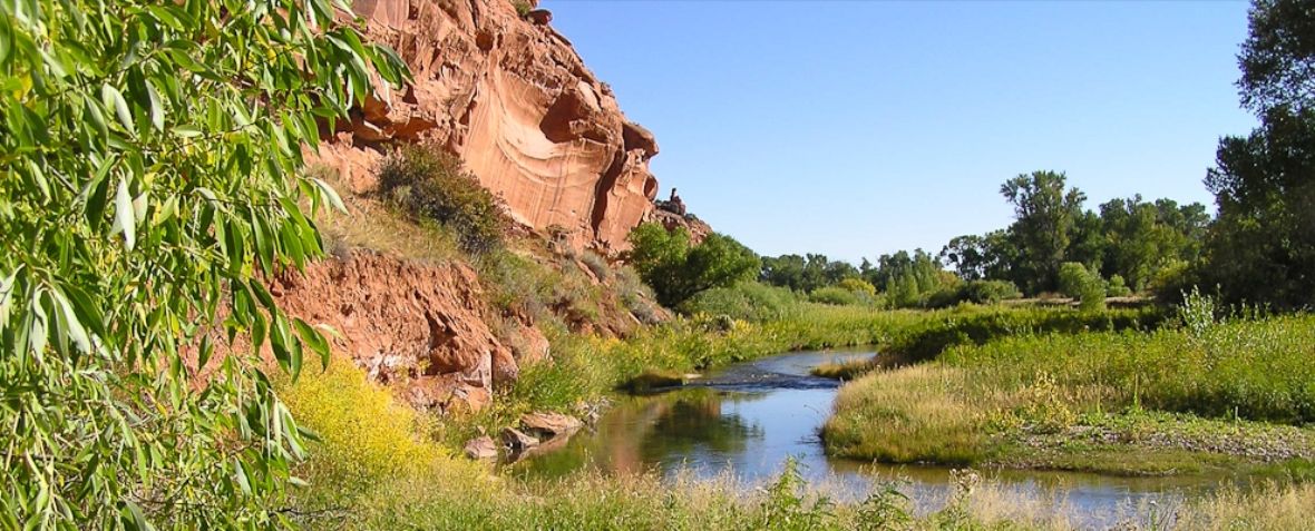Supporting state, provincial, and territorial agencies to conserve instream flow and water levels to protect, restore, and enhance aquatic ecosystems and uses 